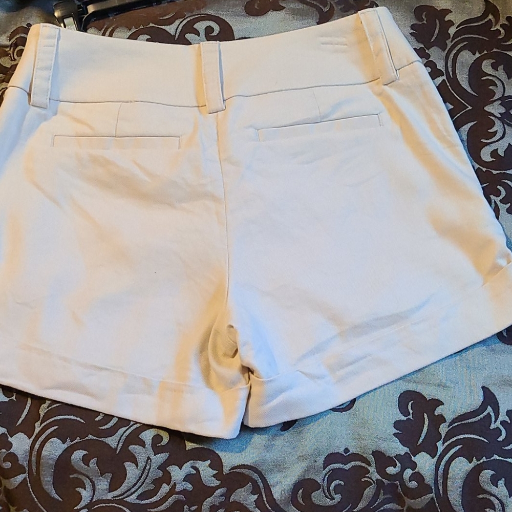 Express Shorts - Picture 3 of 3
